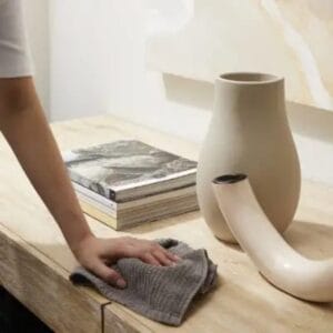 Ménage professionnel